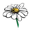 Colorful Daisy Flower Sketch Vector Art