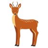 Lovable Western Roe Deer Vector Art