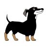 Determined Dachshund Dog Vector Art