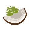 Organic Copra Coconut Piece and Leaves Vector Art