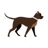Cute and Steadfast Rottweiler Dog Vector Art