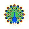 Dancing Vibrant Open Feathered Peacock Vector Art