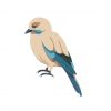 Beautiful Warbler Bird Vector Art