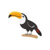 Fascinating Toucan Bird Vector Art