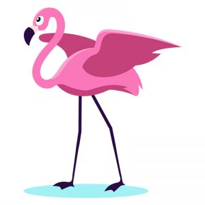Flamingo Vector
