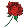 American Beauty Red Rose Flower Vector Art