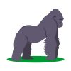 Gorilla Sublimation | Wild Animal Vector | Side Pose Gorilla | PNG PSD Gorilla