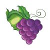Juicy Popping Grapes Vector Art