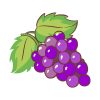 Flavorsome Grapes Vector Art
