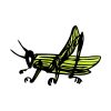 Eastern Lubber Grasshopper Insect Vector Art