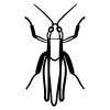 Plaid Wing Grasshopper Insect Vector Art