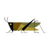 American Bird Grasshopper Insect Vector Art