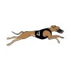 Greyhound Dog Vector | Pet Animal Vector | Number 4 Race Dog | SVG PNG Brown Running Dog