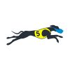 Greyhound Vector Art | Animal Vector Art | Number 5 Race Dog | SVG PNG Blue Mask Dog