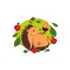 Cute Hedgehog Food Lover Vector | Apple Lover Hedgehog Vector |Hedgehog Acorn Nut Vector Art | Hedgehog Clip Arts