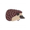 Hedgehog Vector Art | Desert Hedgehog Vector | Hedgehog Vector File | SVG Hedgehog Vector