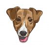 Jack Dog Face Vector | Animal Vector File | Jack Face Sublimation | SVG Brown Russell Dog Face