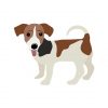 Jack Russel Terrier Vector | Animal Vector Design | Dog Sublimation | SVG Hanging Tongue Dog
