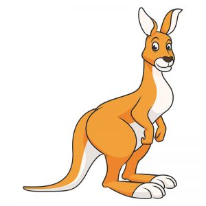 Kangaroo Vector