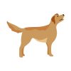 Labrador Retriever Dog Vector | Animal Vector Design | Brown Labrador |SVG Pet Dog
