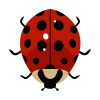 Convergent Lady Beetle Bug Vector Art