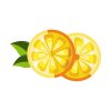Citrus Lemon Fruit Vector Art