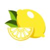 Succulence Fresh Lemon Vector Art