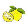 Ripen and Pulpy Lemon Vector Art