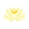 Eccentric Lotus Flower Vector Art