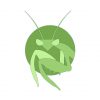 Green Ground Mantis Vector Art