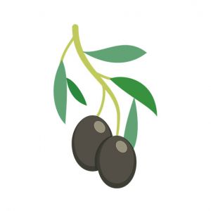 Olive Vector