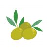 Green Olives Vector Art