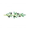 Olives leaves Vector Art