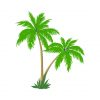 date palm vector