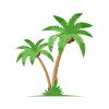 tree palm vector