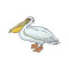 Pelican Vector File