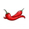 red chili vector