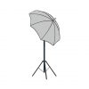 photo umbrella Vector Art