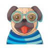 Cute Pug Face Vector | Animal Vector File | Pug Dog Vector | Blue Shirt Pug Dog | Pug Cartoon Graphic