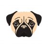 Pug Face Vector | Animal Vector Art | SVG Dog File | Black And White Pug Face Design