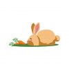 Rabbit Vector Art | Pet Animal Vector | Cute Bunny Graphic Image | EPS Carrot Rabbit