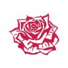 vintage rose vector