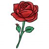 red rose vector art
