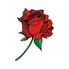rose vector graphics