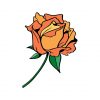 peach rose vector
