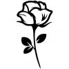 stencil rose design