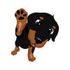 Rottweiler Puppy Vector | Cute Puppy Vector | Hand Shaking Puppy Vector | Puppy Vector File