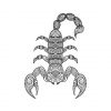 Scorpion Vector