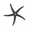 Starfish Stencil Design