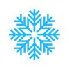 snowflake vector image